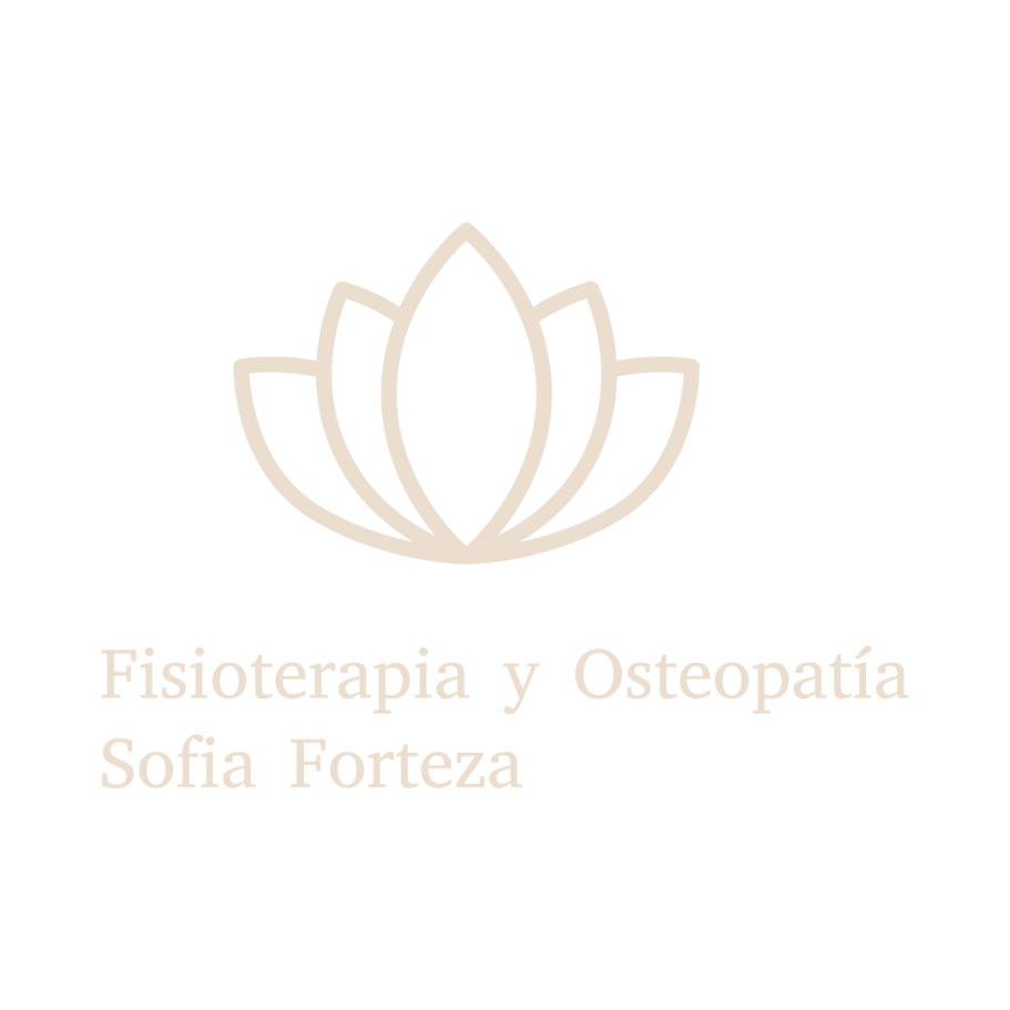 Fisioterapia
